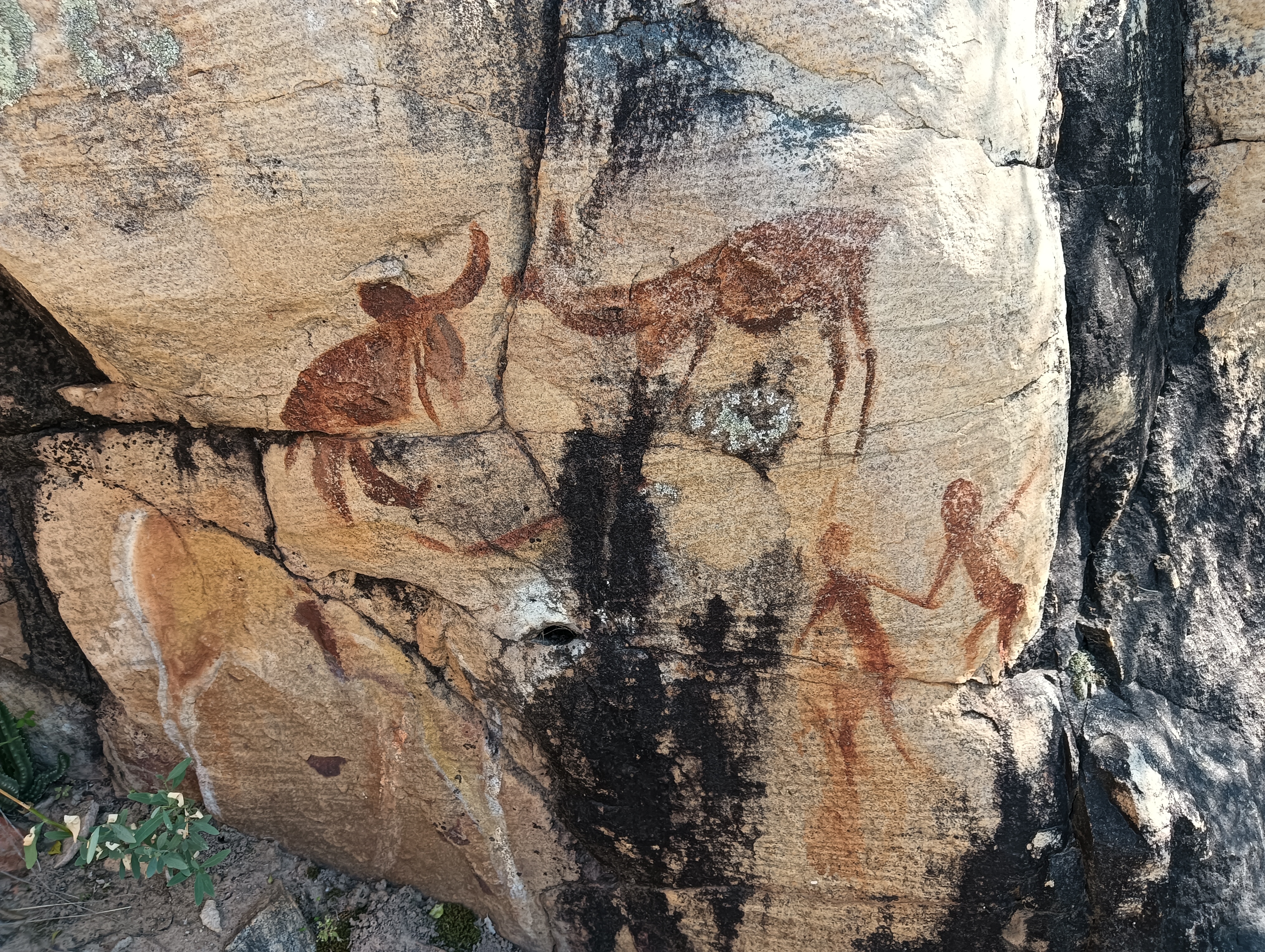 Rock Art - Clan William